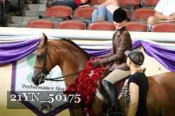 21YN_50175 thumbnail