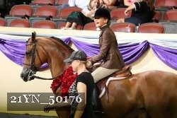 21YN_50176 thumbnail
