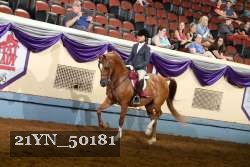 21YN_50181 thumbnail