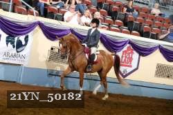 21YN_50182 thumbnail