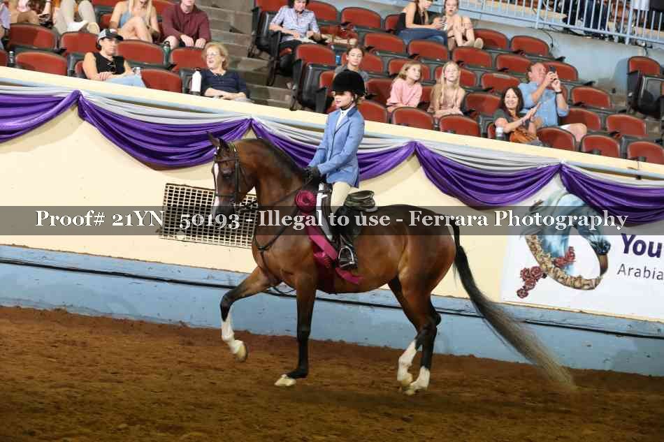 Proof Number 21YN_50193