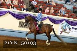 21YN_50193 thumbnail