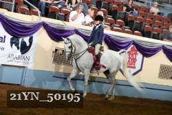 21YN_50195 thumbnail