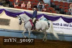 21YN_50197 thumbnail