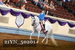 21YN_50201 thumbnail