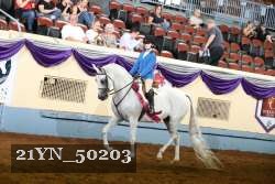 21YN_50203 thumbnail