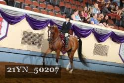 21YN_50207 thumbnail