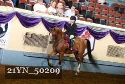 21YN_50209 thumbnail