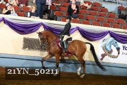 21YN_50211 thumbnail