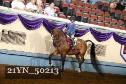 21YN_50213 thumbnail