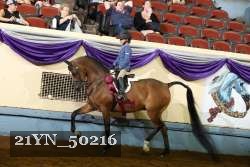21YN_50216 thumbnail