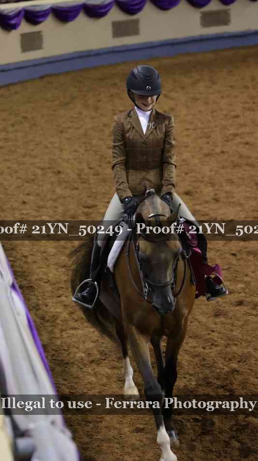 Proof Number 21YN_50249
