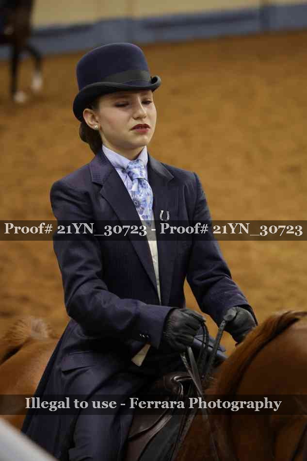Proof Number 21YN_30723