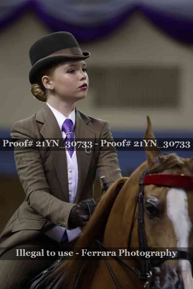 Proof Number 21YN_30733