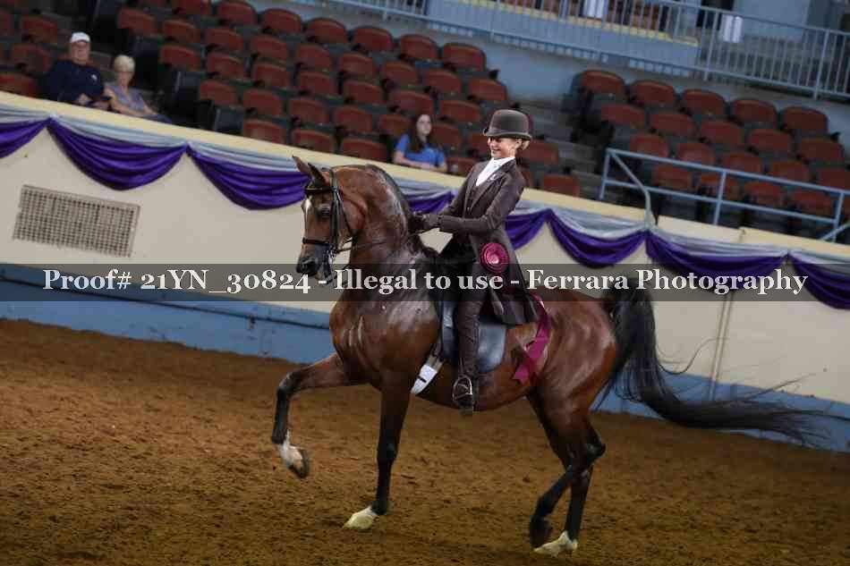 Proof Number 21YN_30824