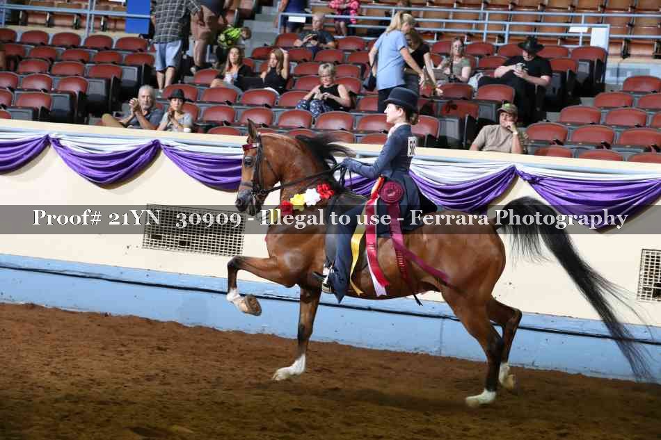 Proof Number 21YN_30909