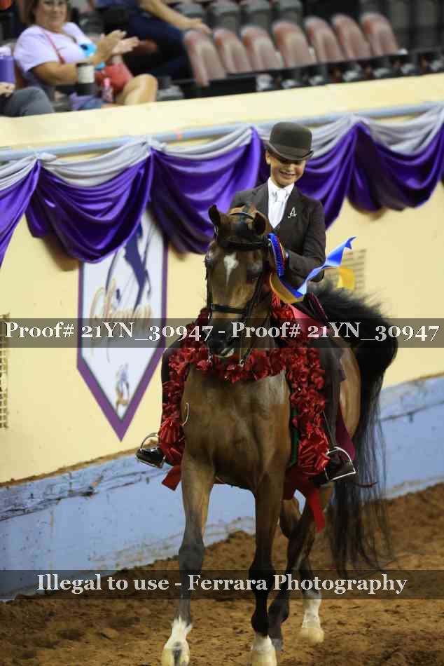 Proof Number 21YN_30947