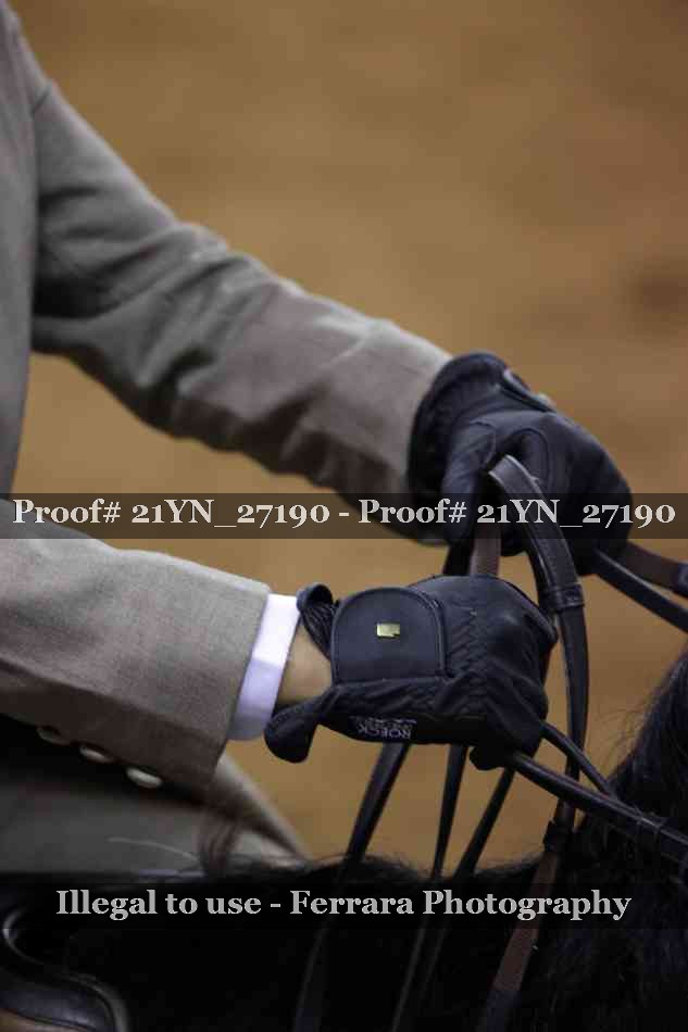 Proof Number 21YN_27190