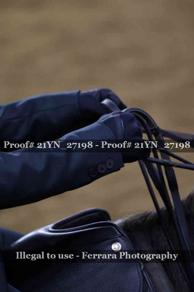 Proof Number 21YN_27198