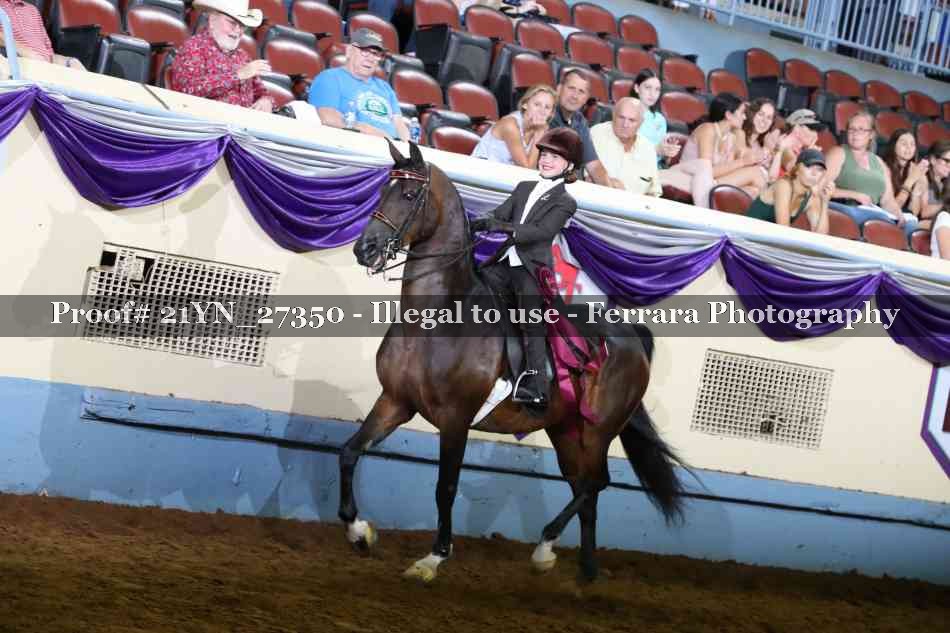 Proof Number 21YN_27350