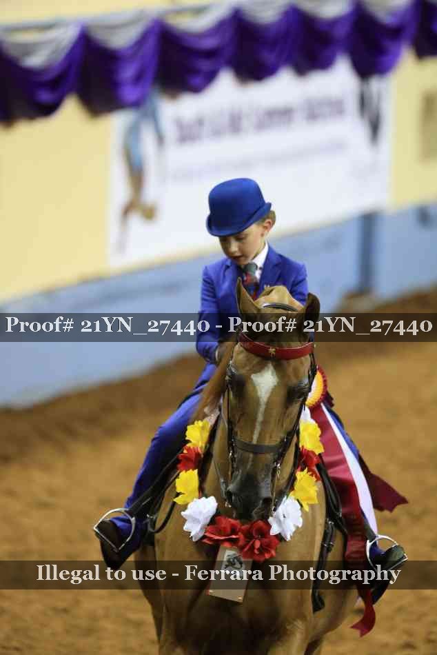 Proof Number 21YN_27440