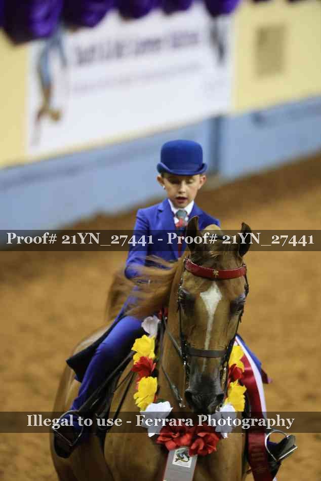 Proof Number 21YN_27441