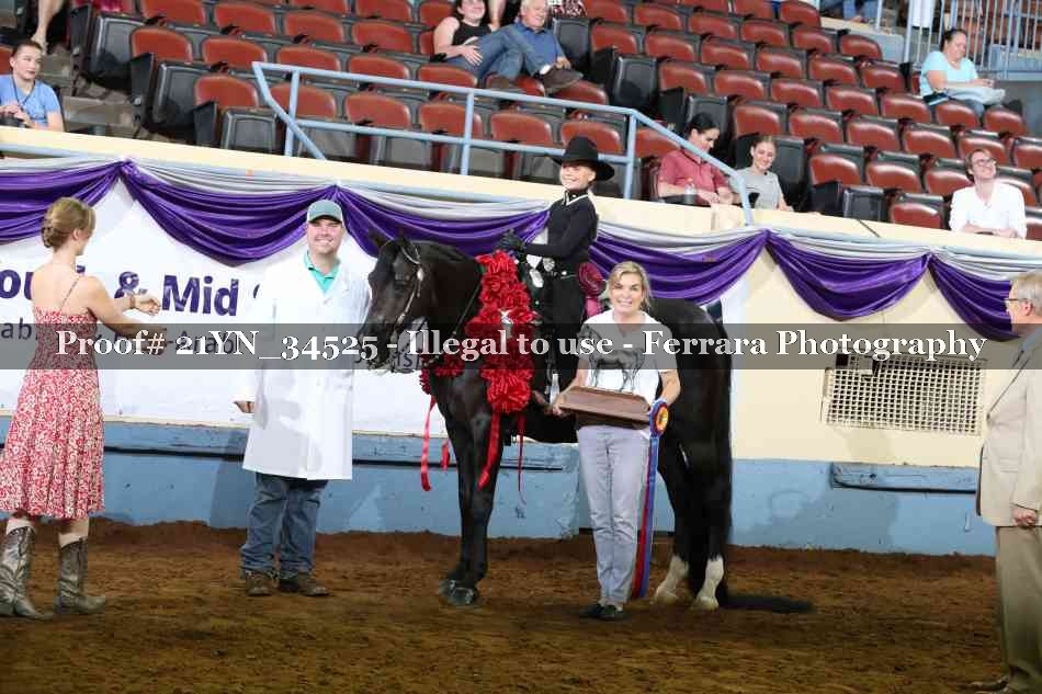Proof Number 21YN_34525