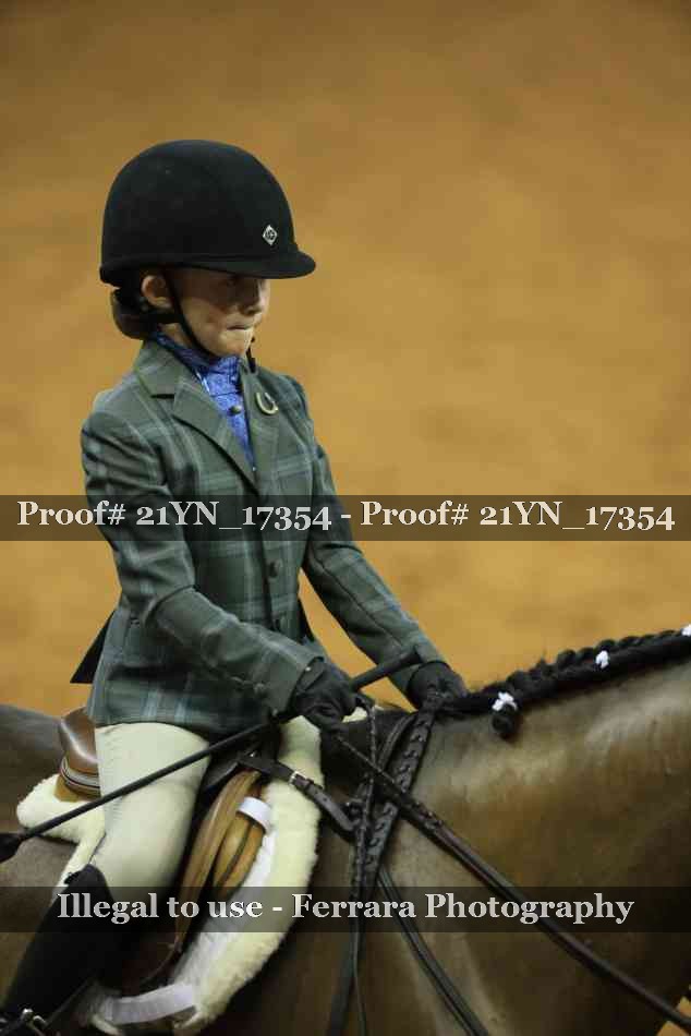 Proof Number 21YN_17354