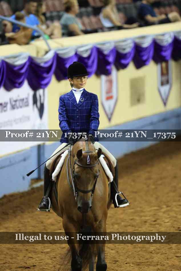 Proof Number 21YN_17375