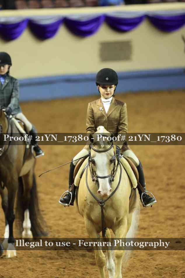 Proof Number 21YN_17380