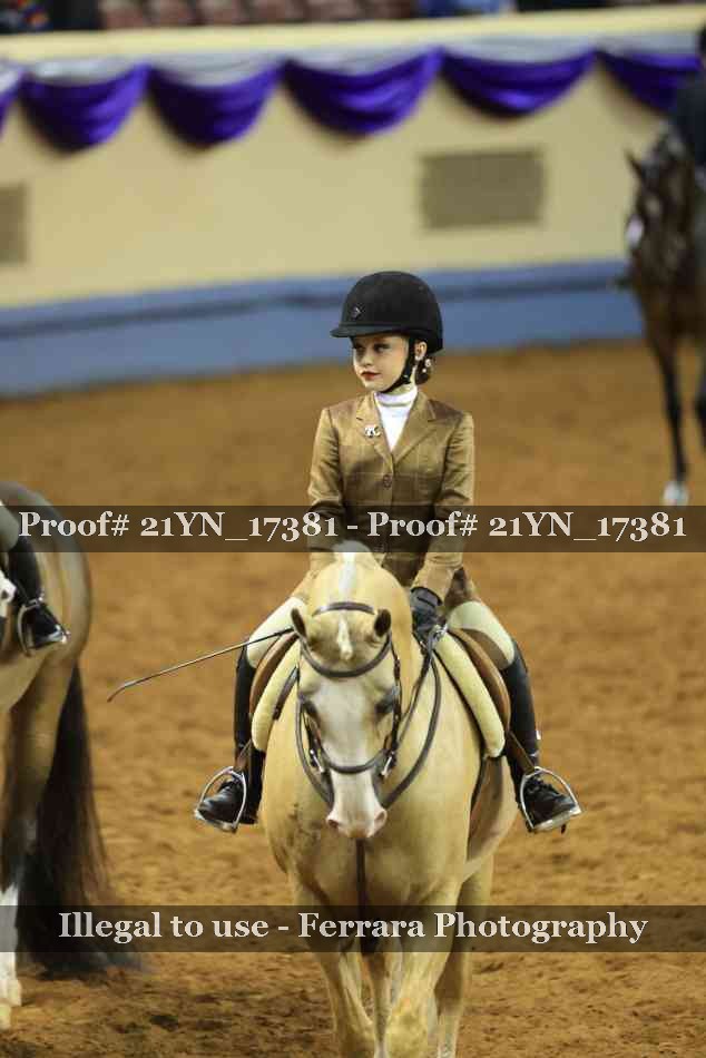 Proof Number 21YN_17381