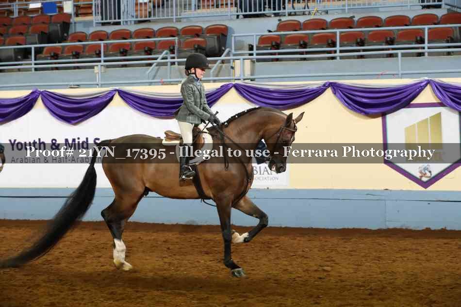 Proof Number 21YN_17395