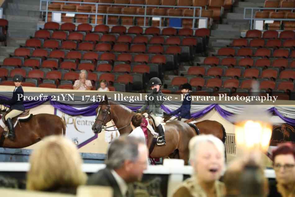 Proof Number 21YN_17451