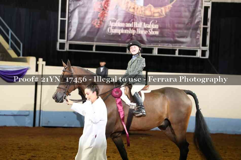 Proof Number 21YN_17456