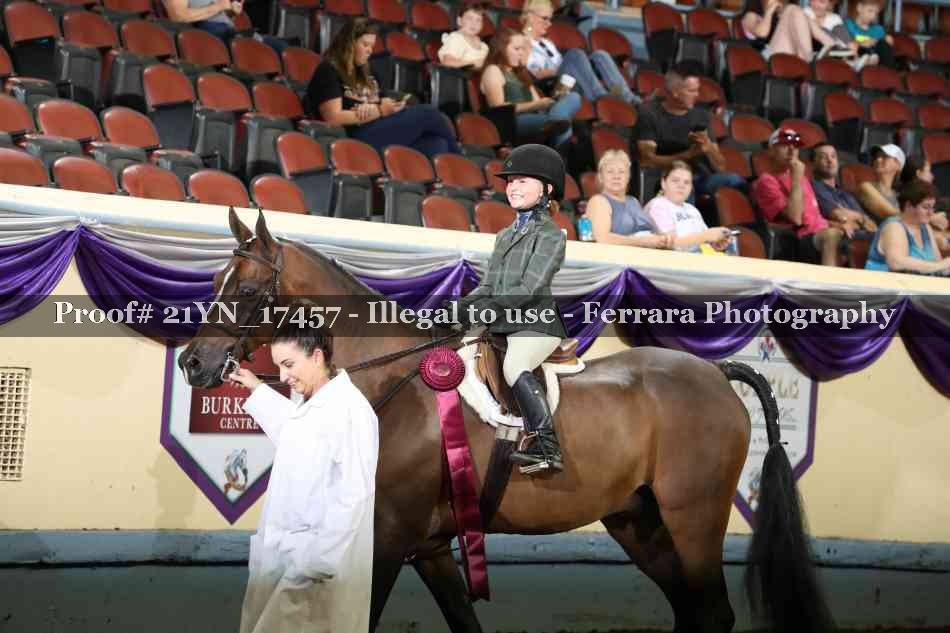 Proof Number 21YN_17457