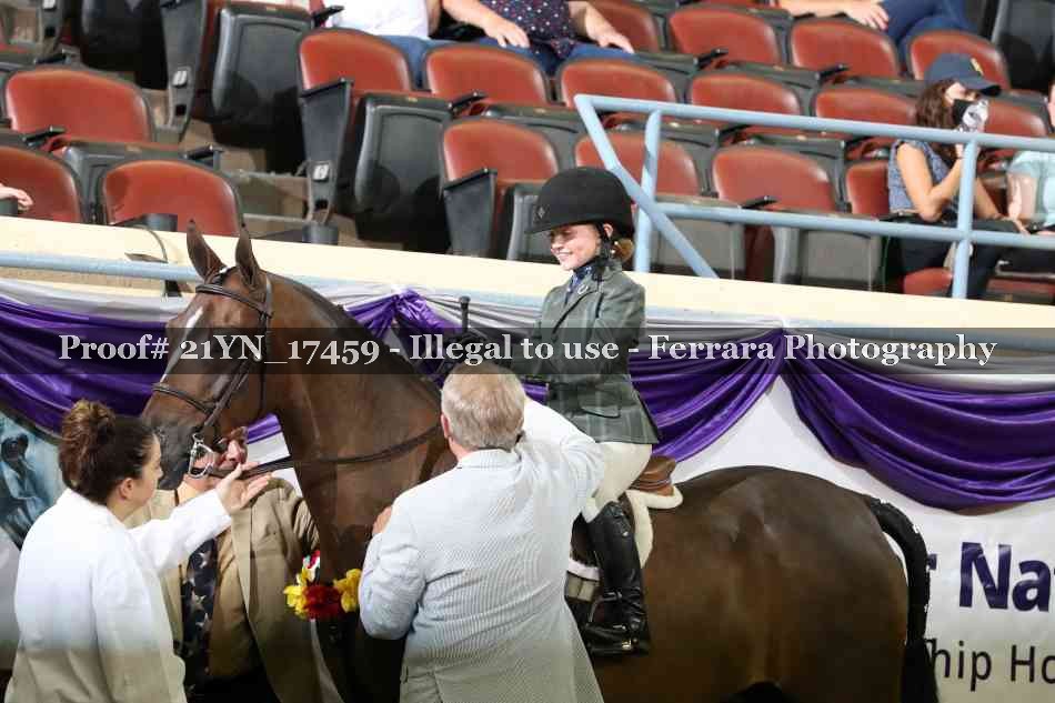 Proof Number 21YN_17459