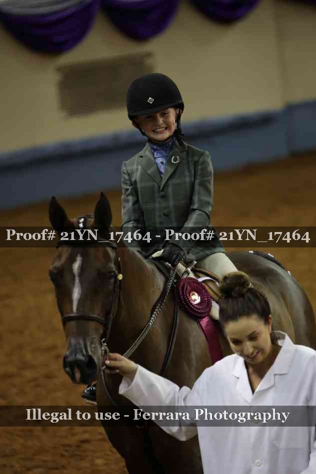 Proof Number 21YN_17464