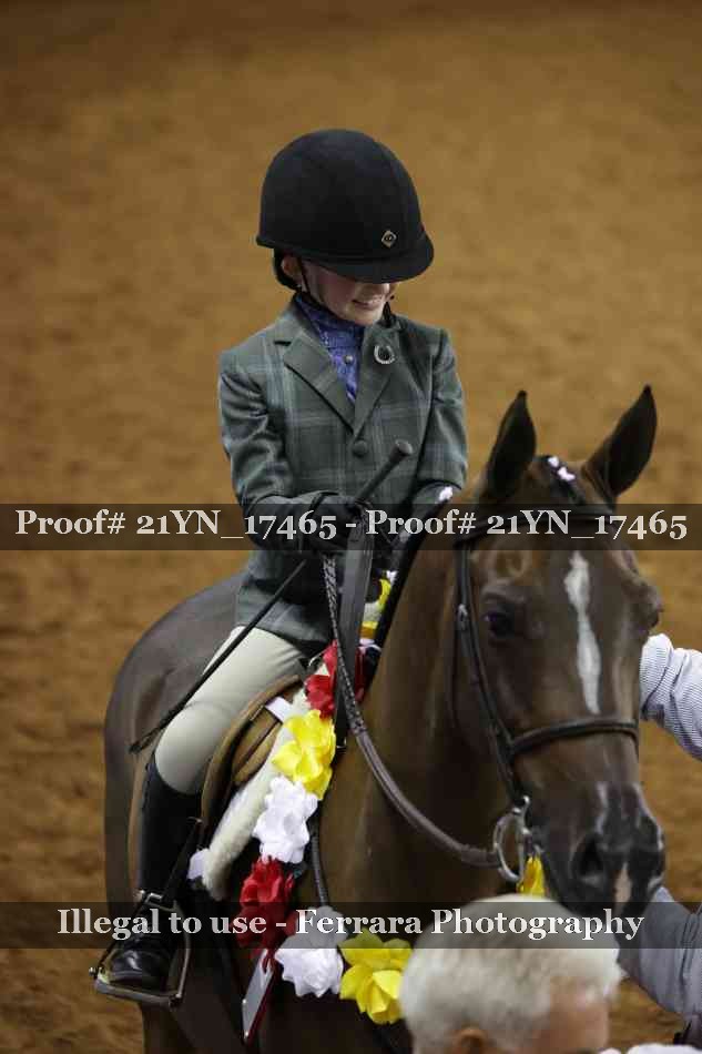 Proof Number 21YN_17465