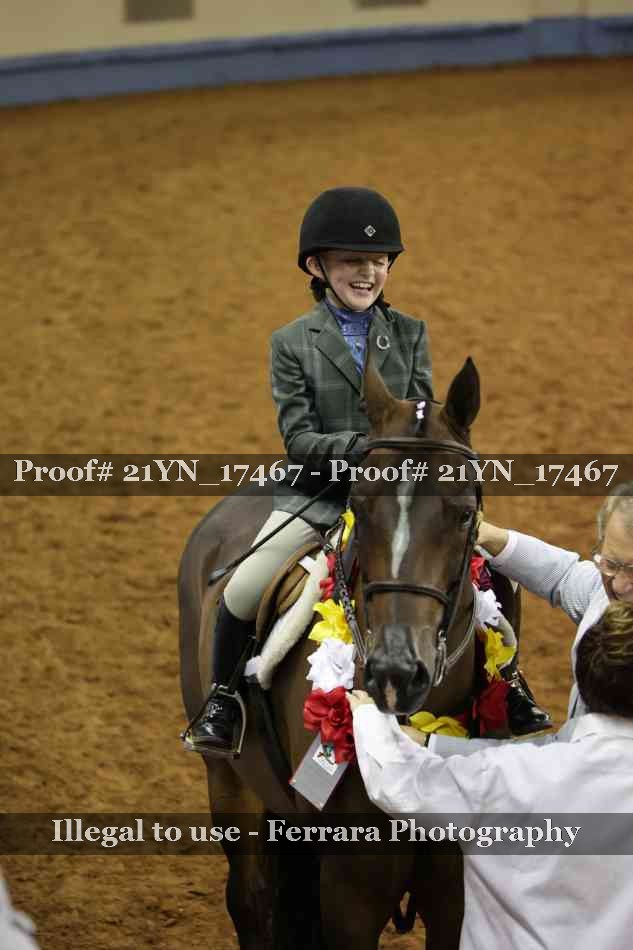 Proof Number 21YN_17467