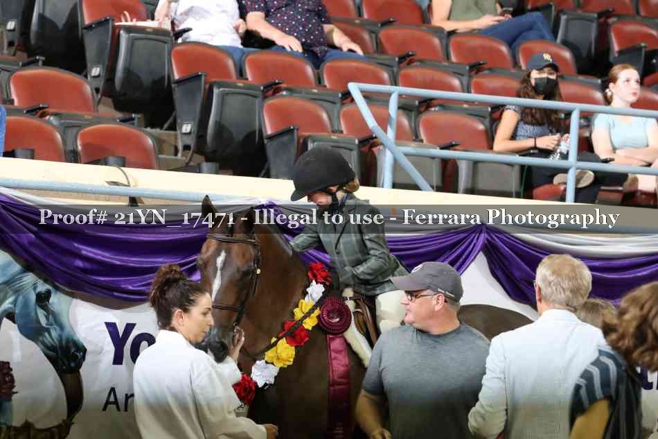 Proof Number 21YN_17471