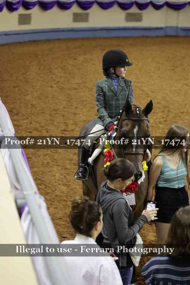 Proof Number 21YN_17474