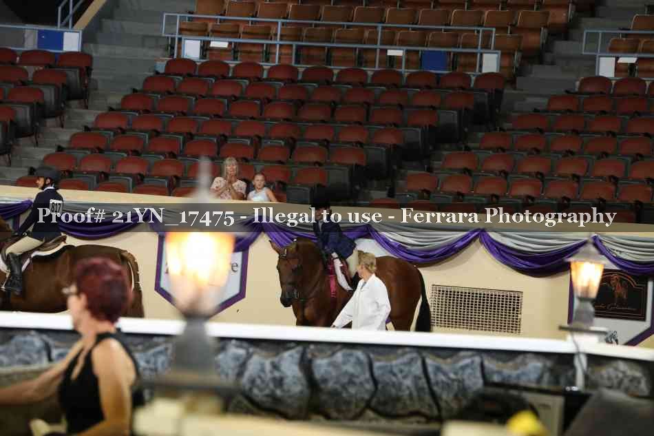 Proof Number 21YN_17475