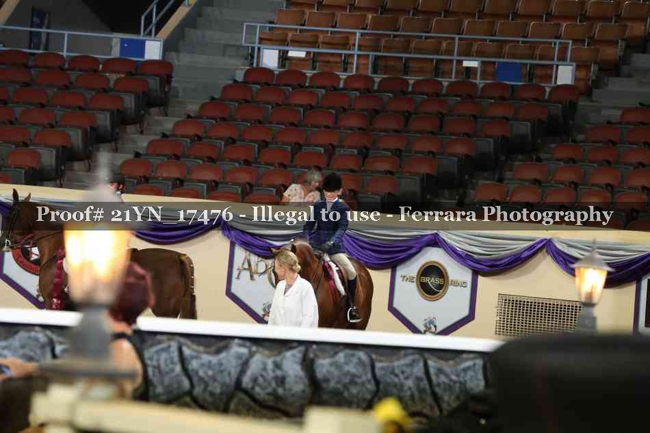 Proof Number 21YN_17476