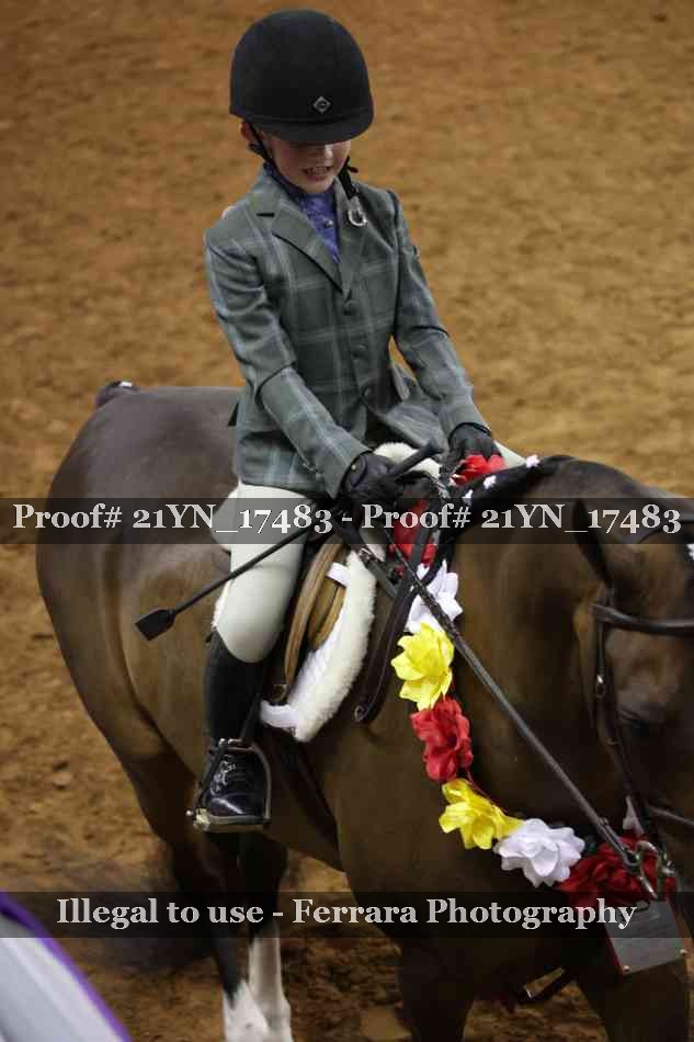 Proof Number 21YN_17483