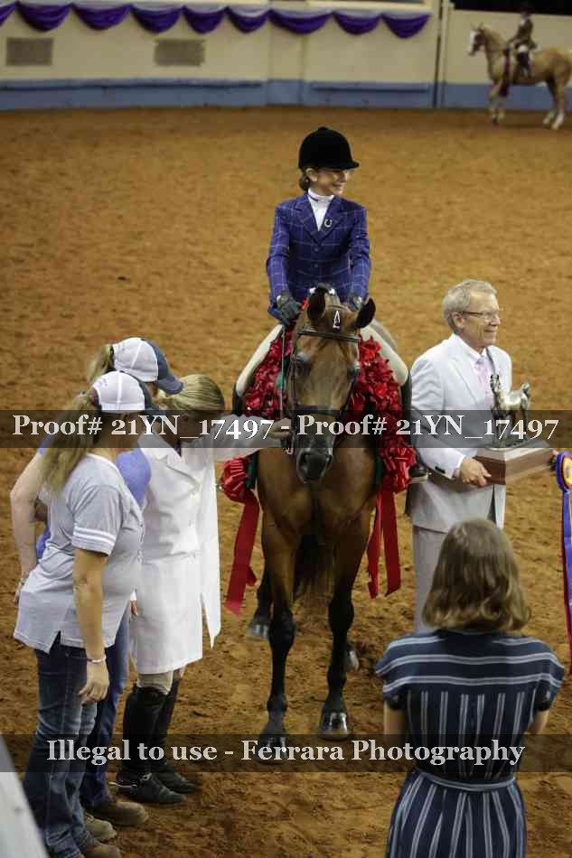 Proof Number 21YN_17497