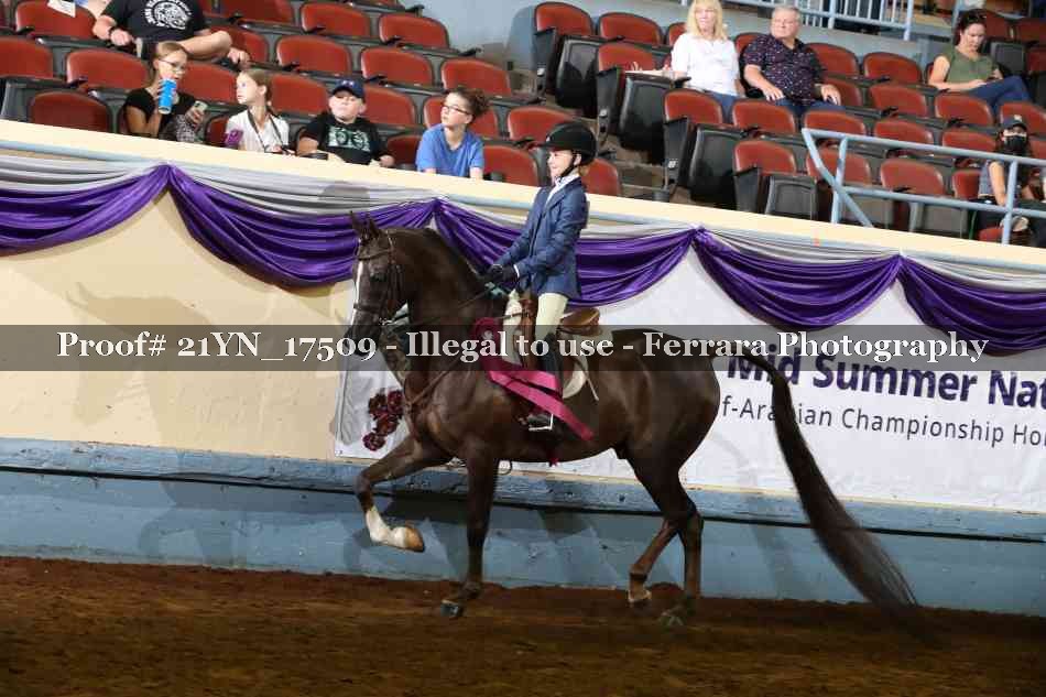 Proof Number 21YN_17509