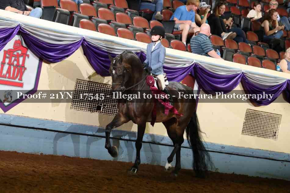 Proof Number 21YN_17545