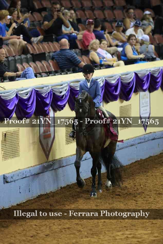 Proof Number 21YN_17565