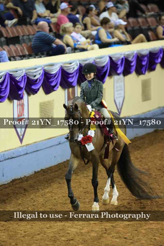 Proof Number 21YN_17580