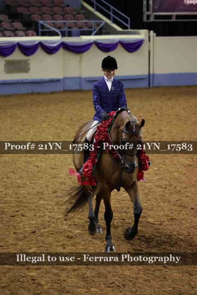 Proof Number 21YN_17583